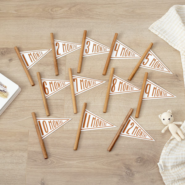 1-12 Months Vintage Mini Milestone Pennant Flags