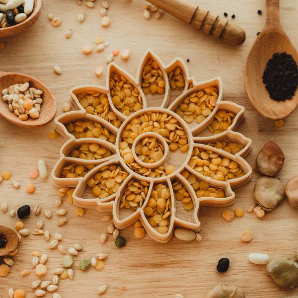 Sunflower Eco Dough Cutter