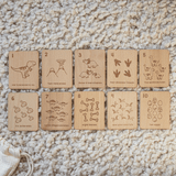 Wooden Number Flashcards (Dinosaur)