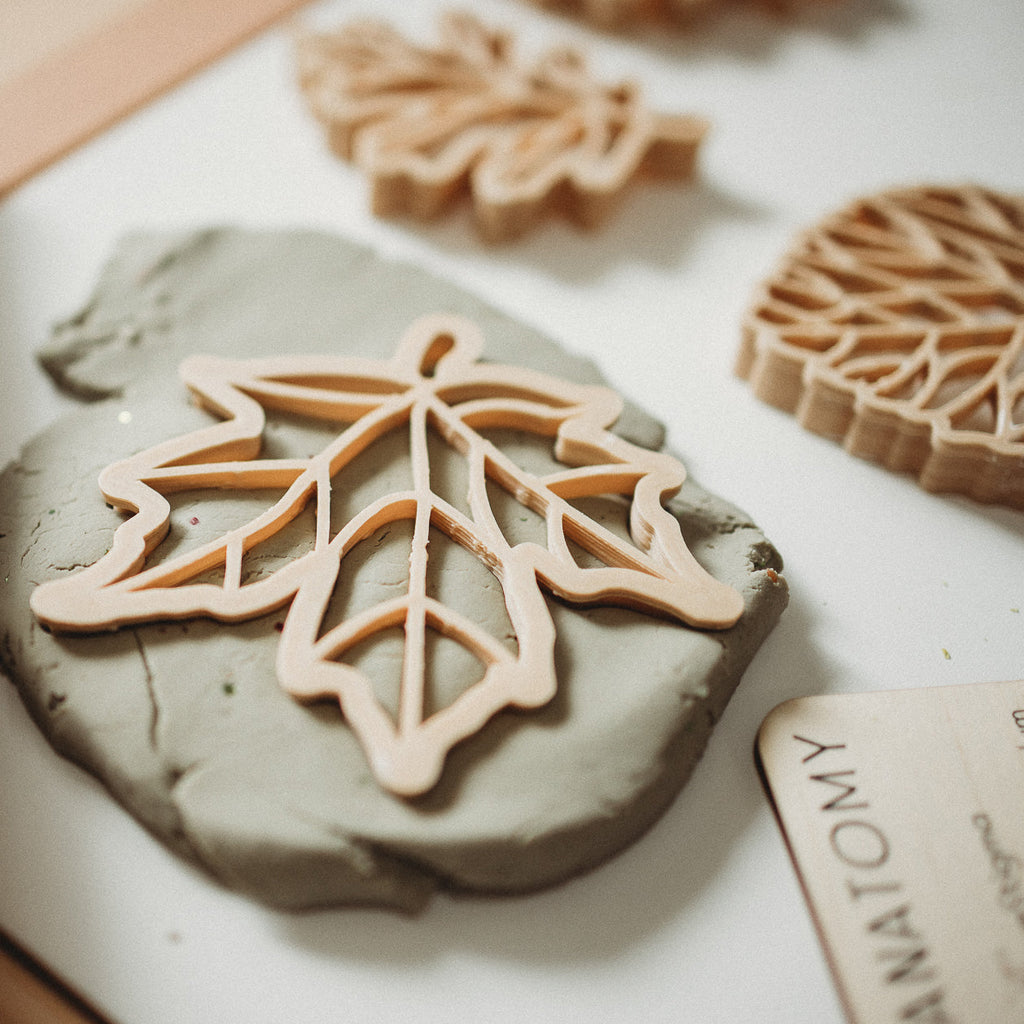 Leaf Eco Dough Cutter Set (of 3)