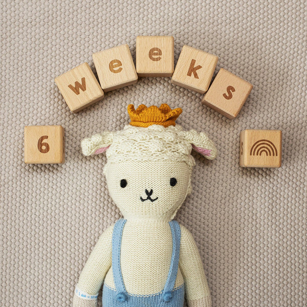 Wooden Baby Age Letter Blocks