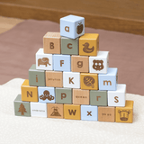 Coloured Wooden Alphabet Block Set