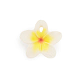 Hawaii the Flower Mini Teether