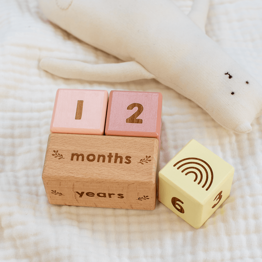 Baby milestone hotsell age blocks